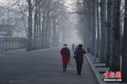 资料图:北京街头。中新网记者 金硕 摄